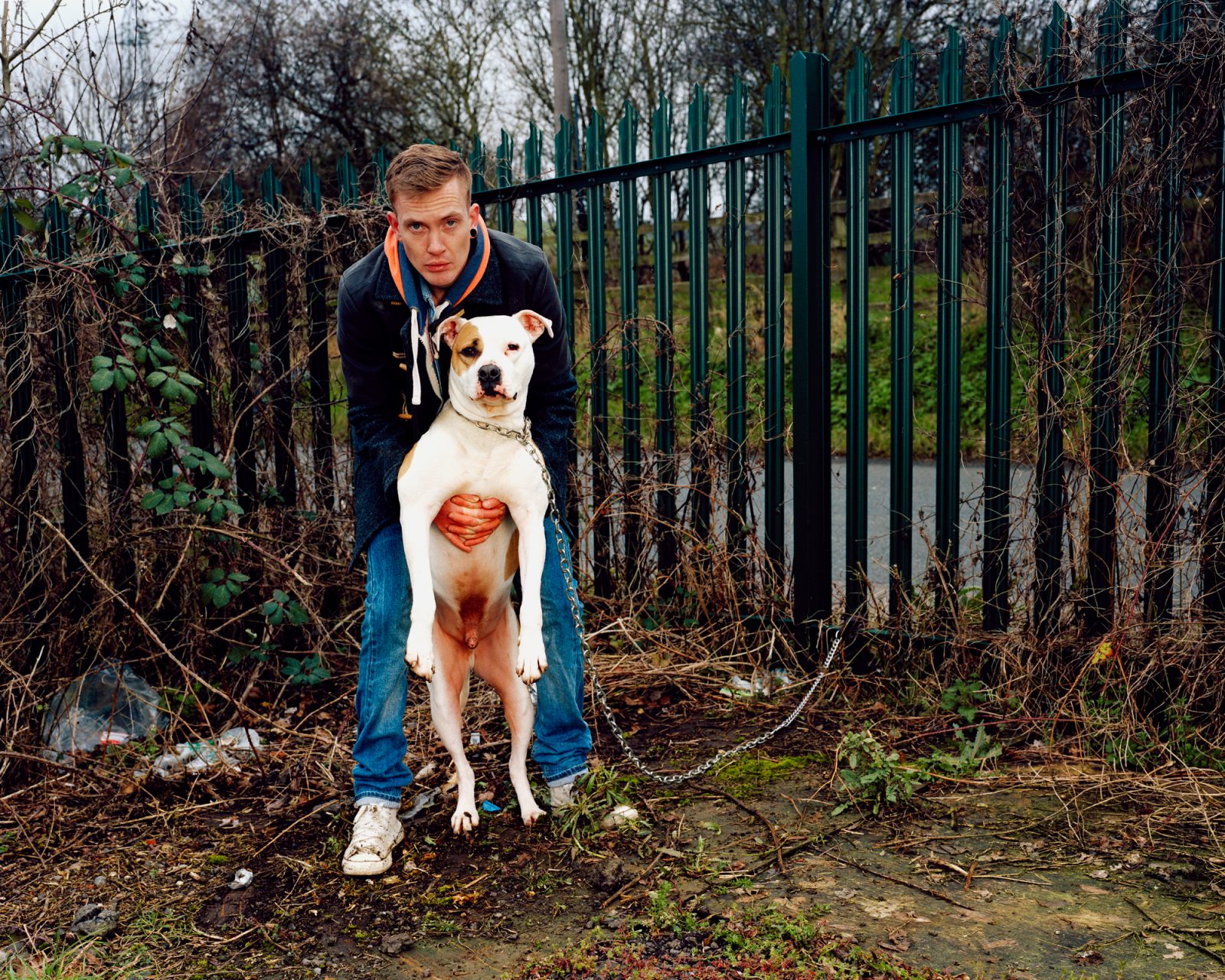 Young man holds Staffordshire Terrior