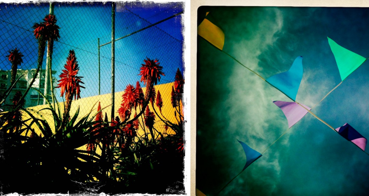 Hipstamatic photographs © Amelia Shepherd