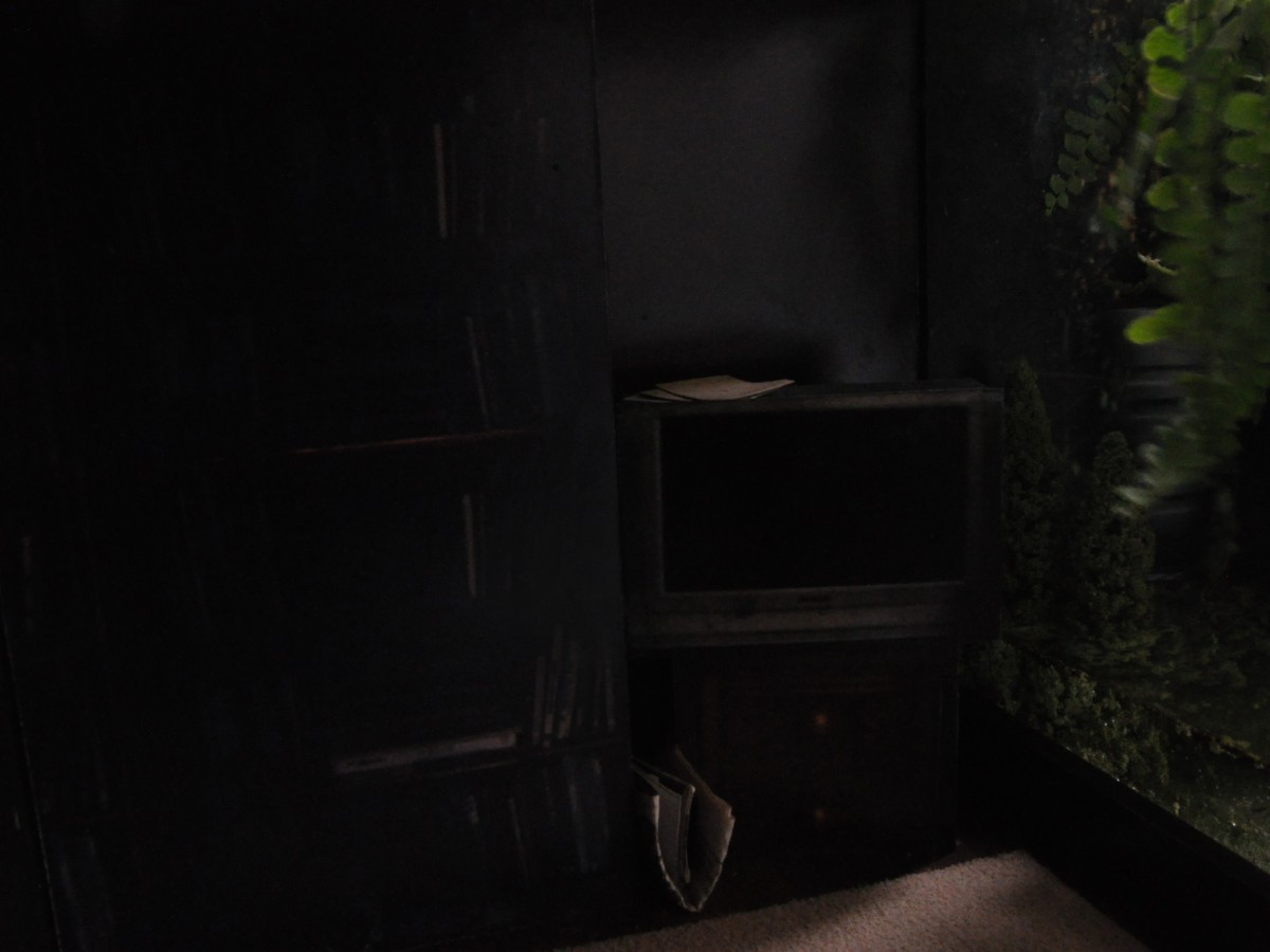 Helene Kazan, A Domestic Image of Preemption, Film 2 UK, 2013. Still from stop frame animation.  Multimedia installation. 2013