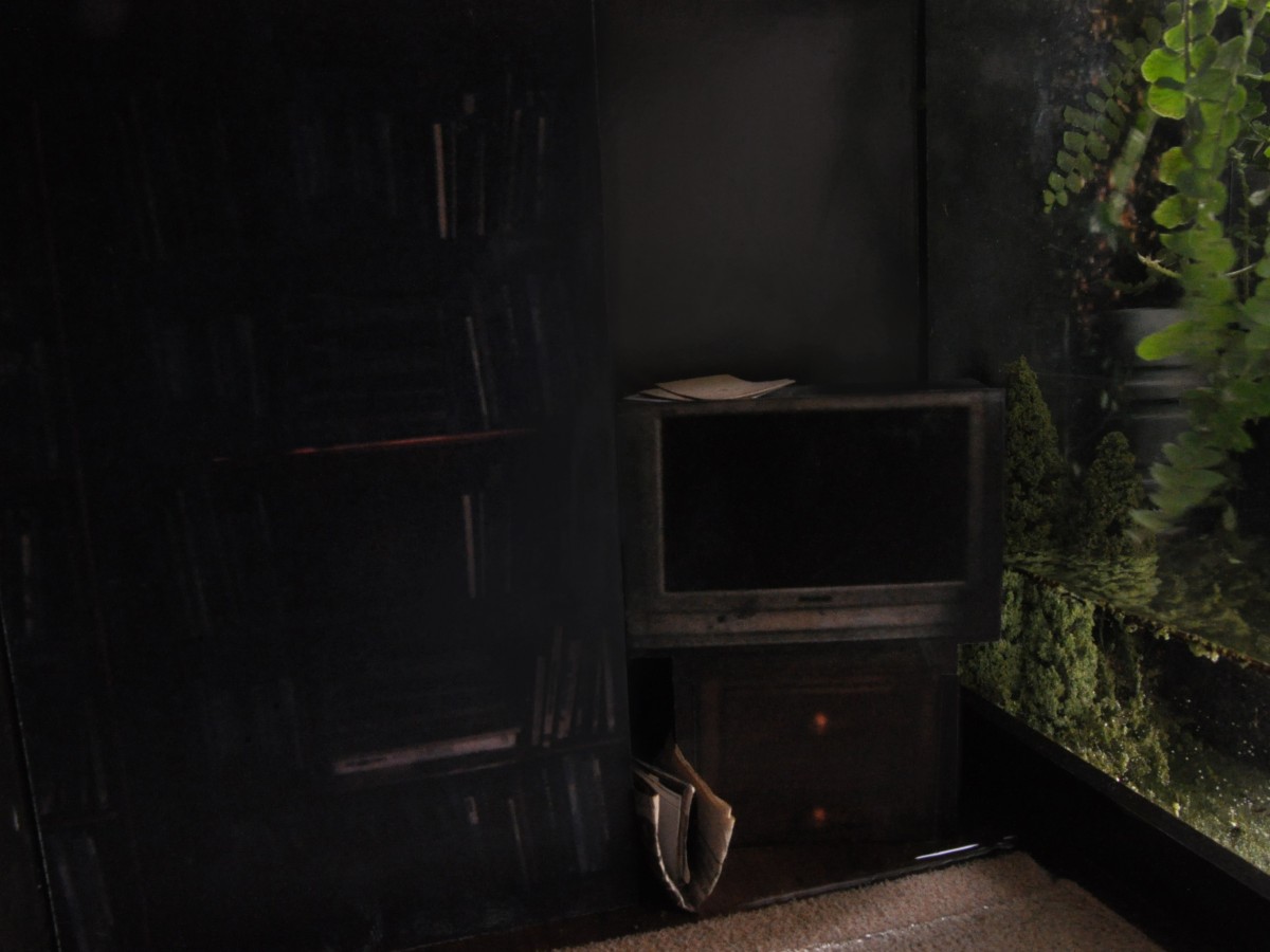 Helene Kazan, A Domestic Image of Preemption, Film 2 UK, 2013. Still from stop frame animation.  Multimedia installation. 2013