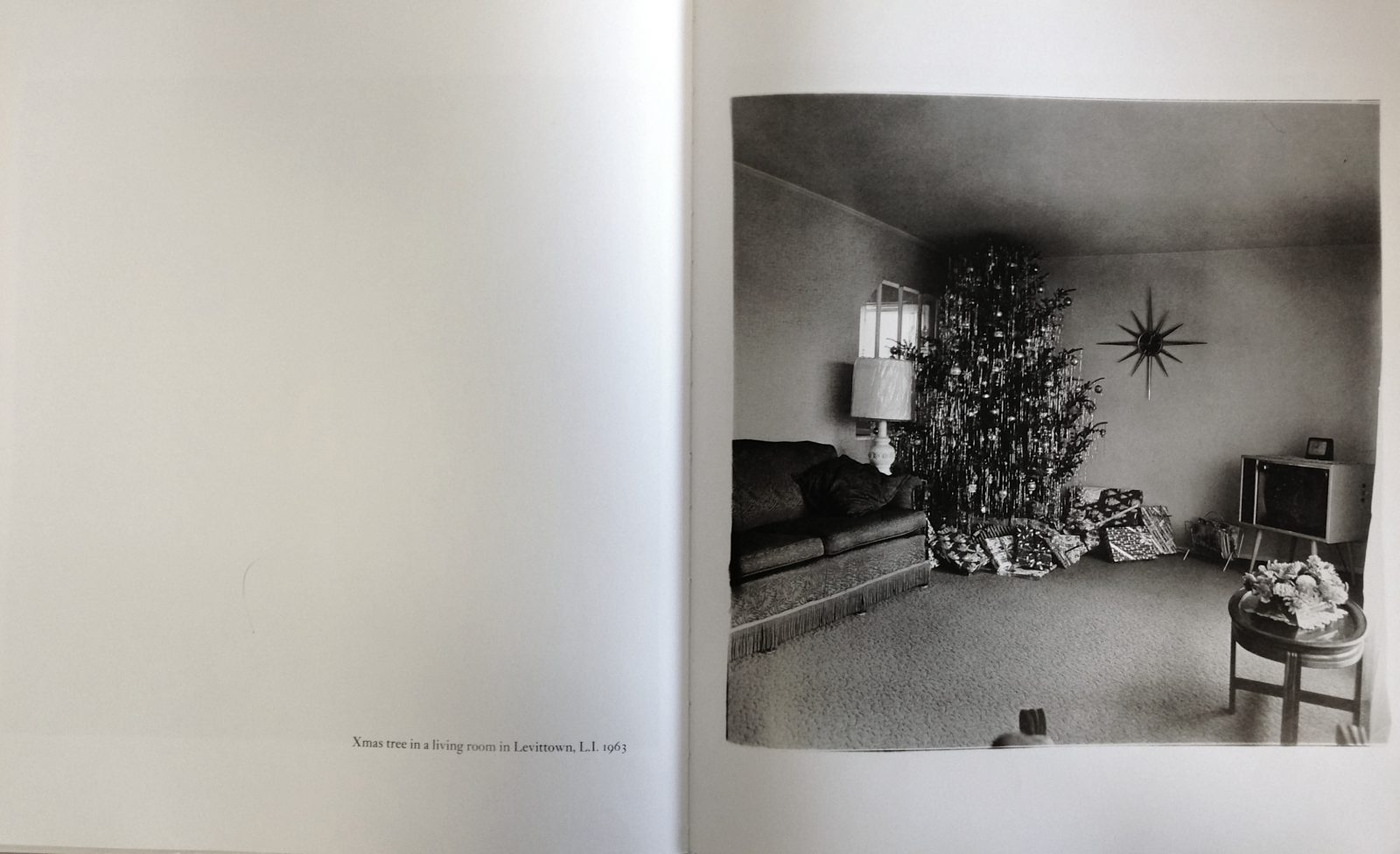 photograph of spread from Diane Arbus Xmas Tree in Living Room
