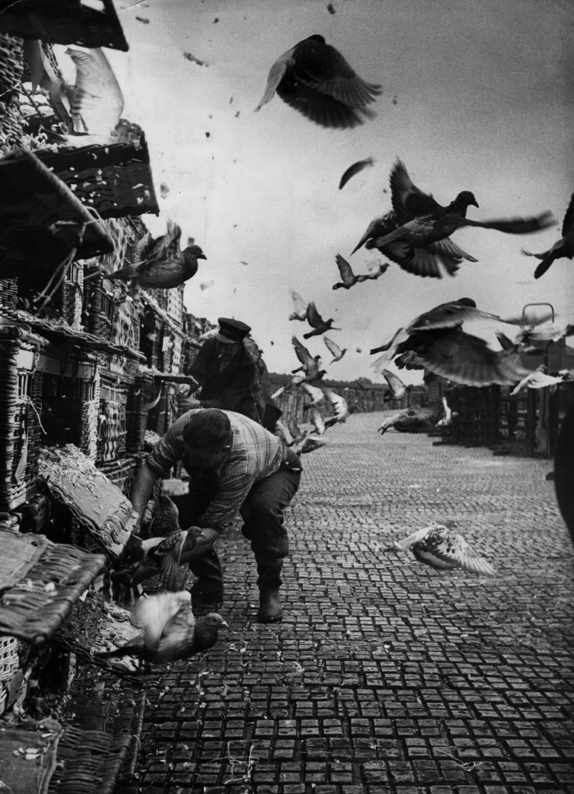The Picture Post Photographers - Dewi Lewis | Photoworks