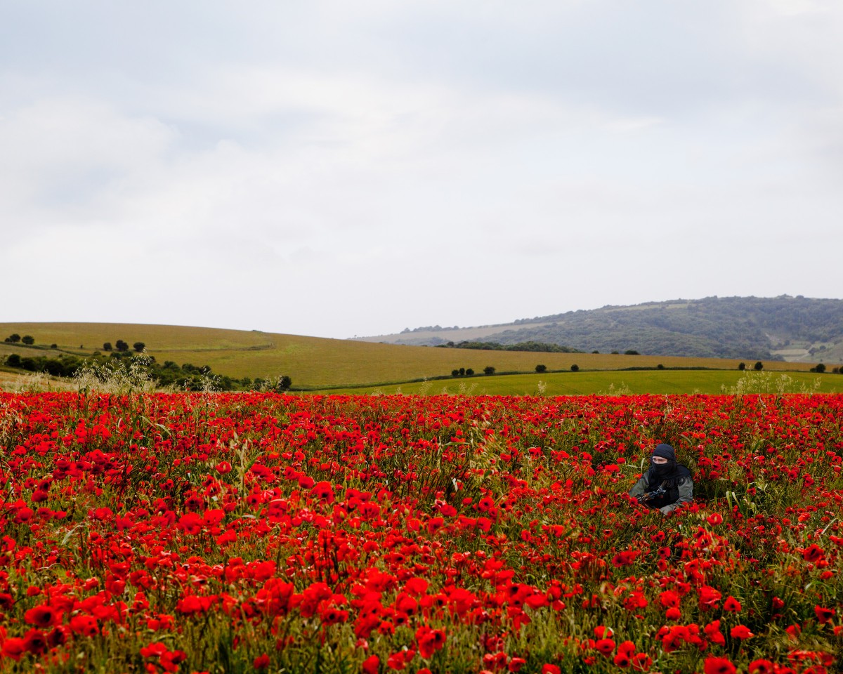 Armed man in poppy field