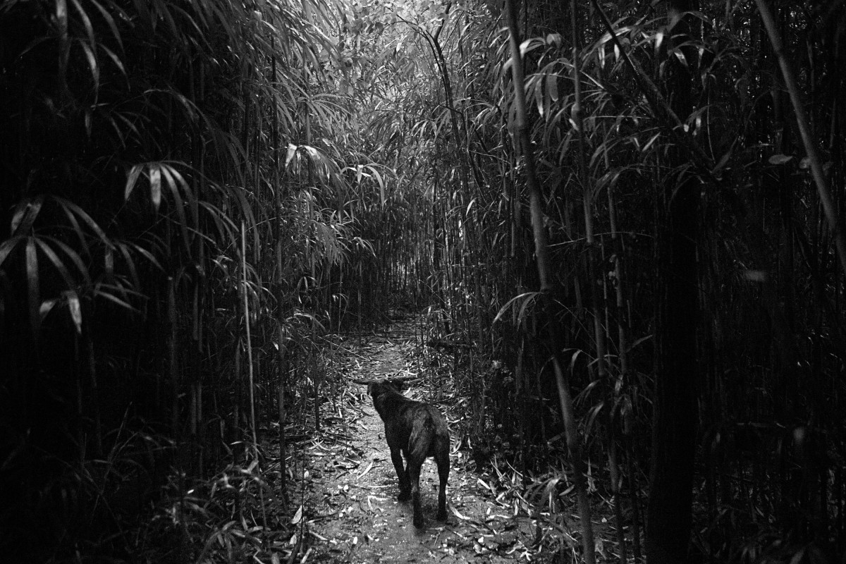 Toni Arnau / RUIDO Photo