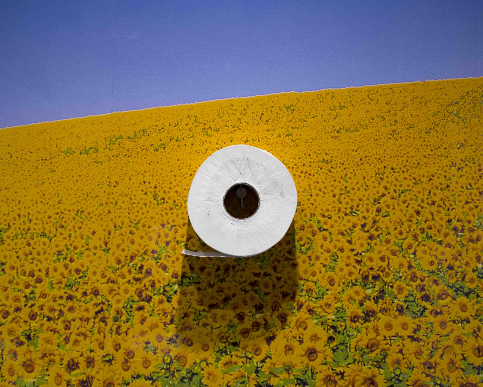 Nick Waplington, FotoDocument