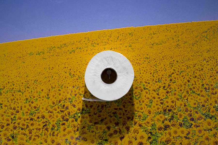 Nick Waplington, FotoDocument