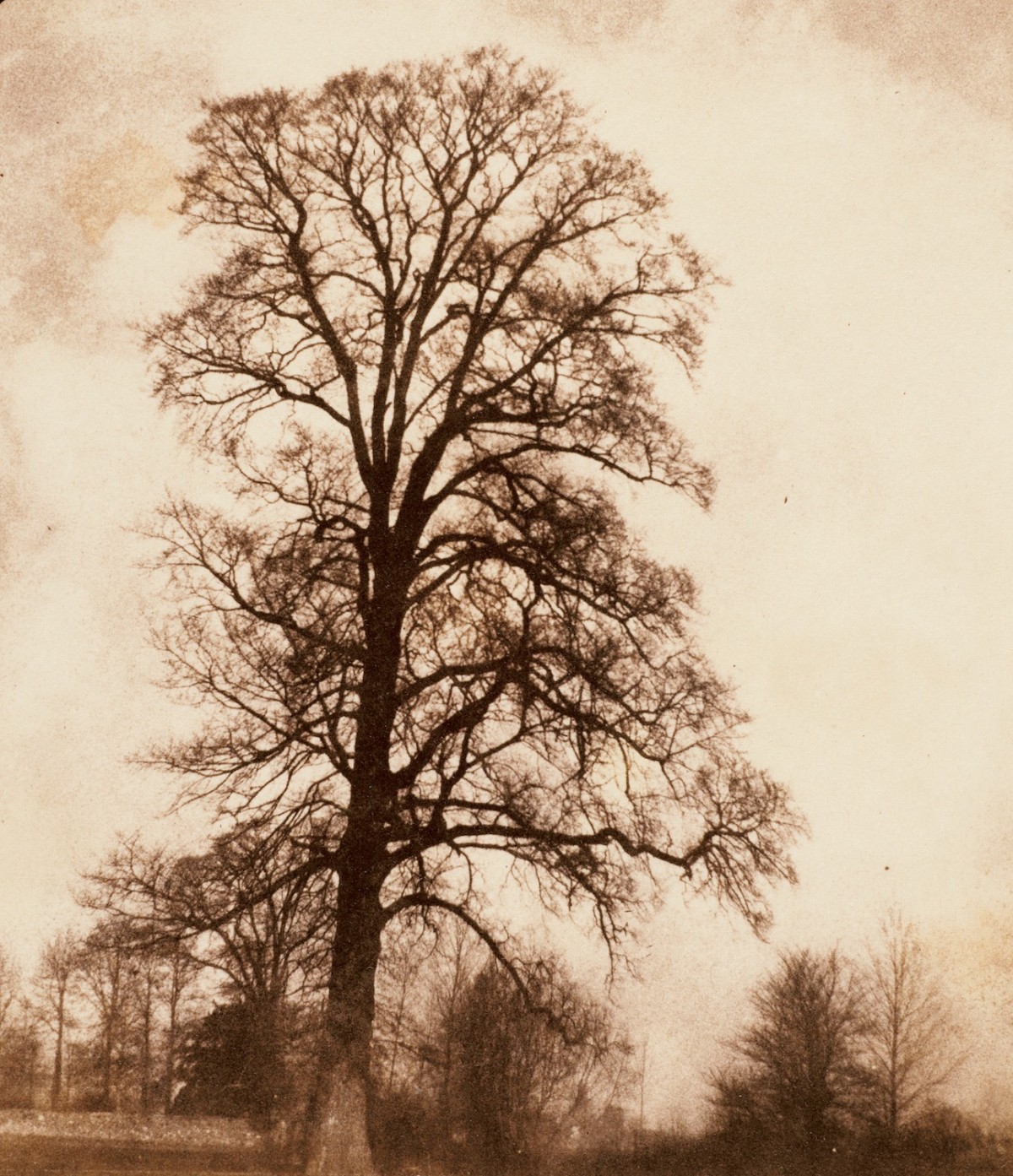 William Fox Talbot print