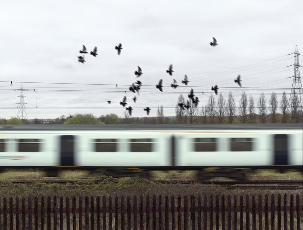 Train, blurred, birds, fence