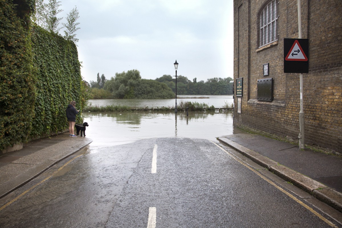 Water, buildings, birds, lamppost, road
