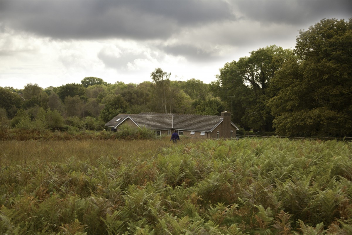 house, green, trees, sky, clouds,