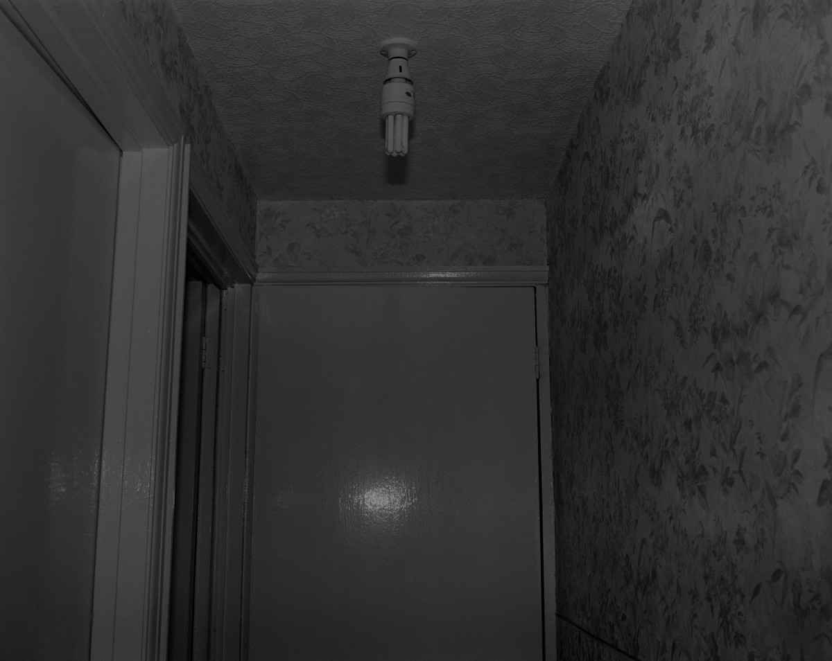 From the series, 'Latent Frequencies'