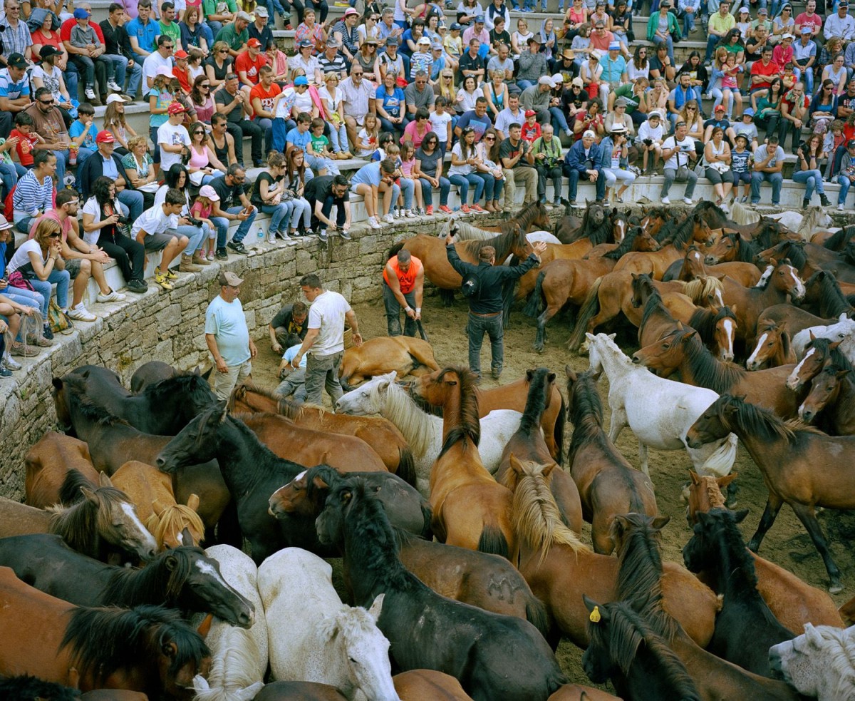 Untitled from the series ‘Habelas Hainas’