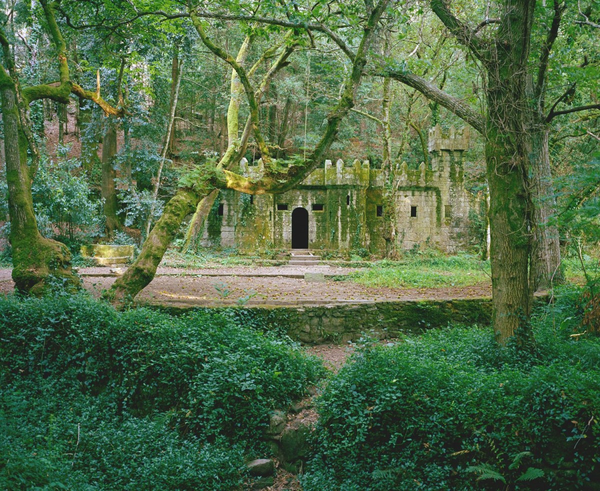 Untitled from the series ‘Habelas Hainas’