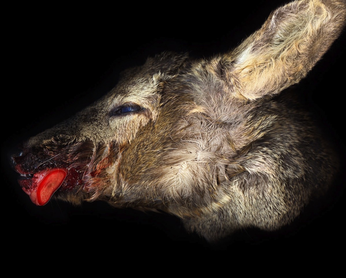 '002' from the series Natten. © Margot Wallard.