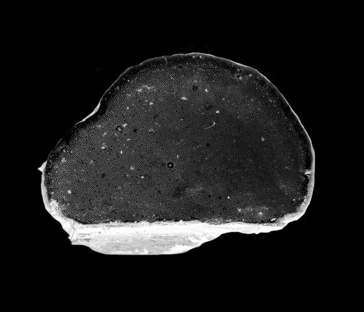 '003' from the series Natten. © Margot Wallard.