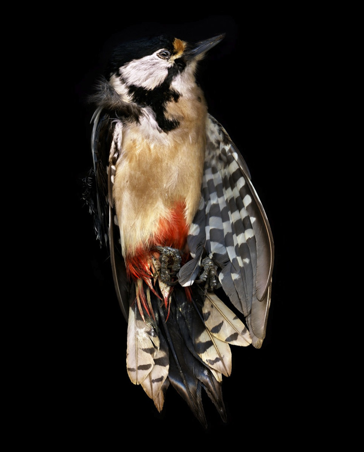 '005' from the series Natten. © Margot Wallard.