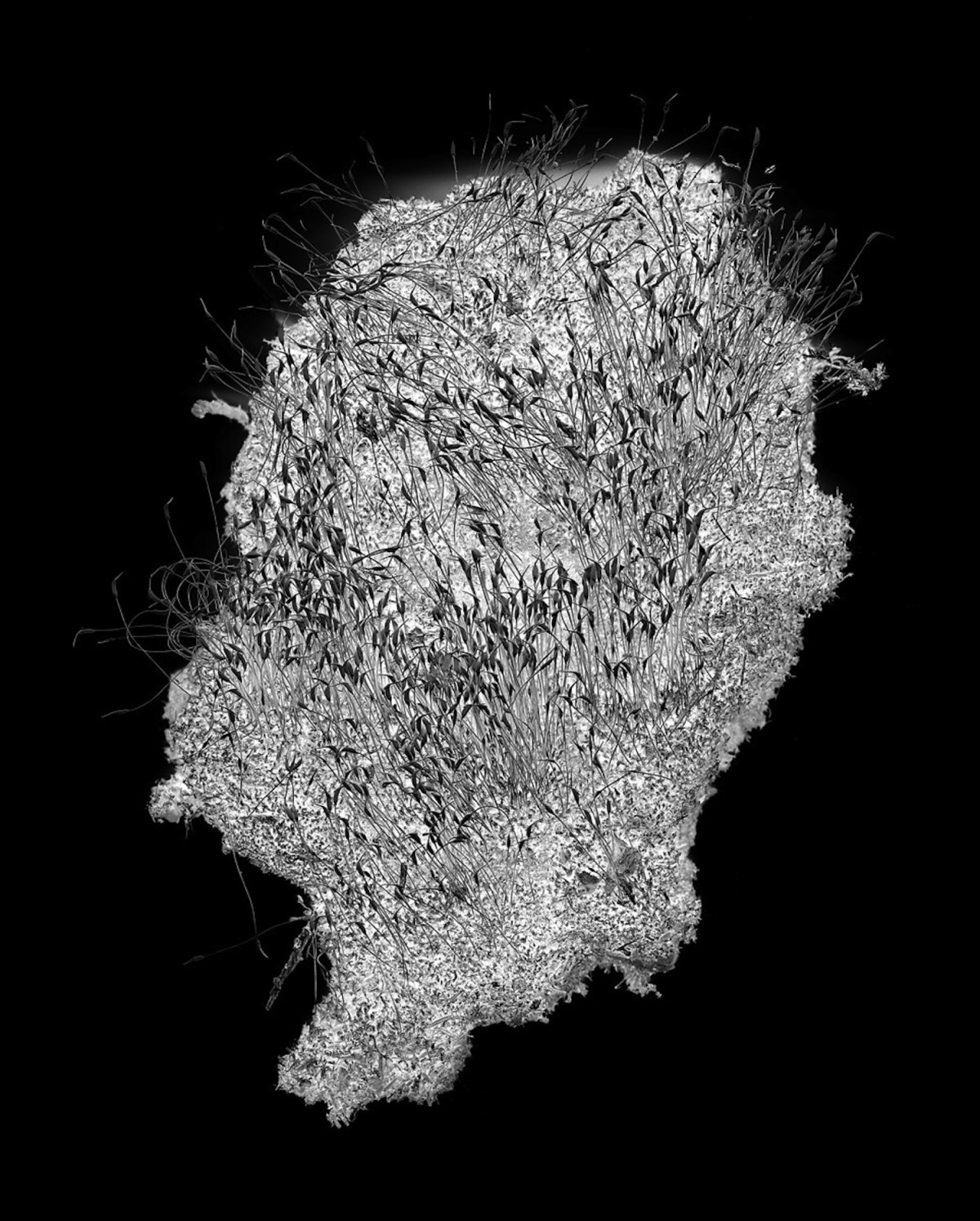 '007' from the series Natten. © Margot Wallard.