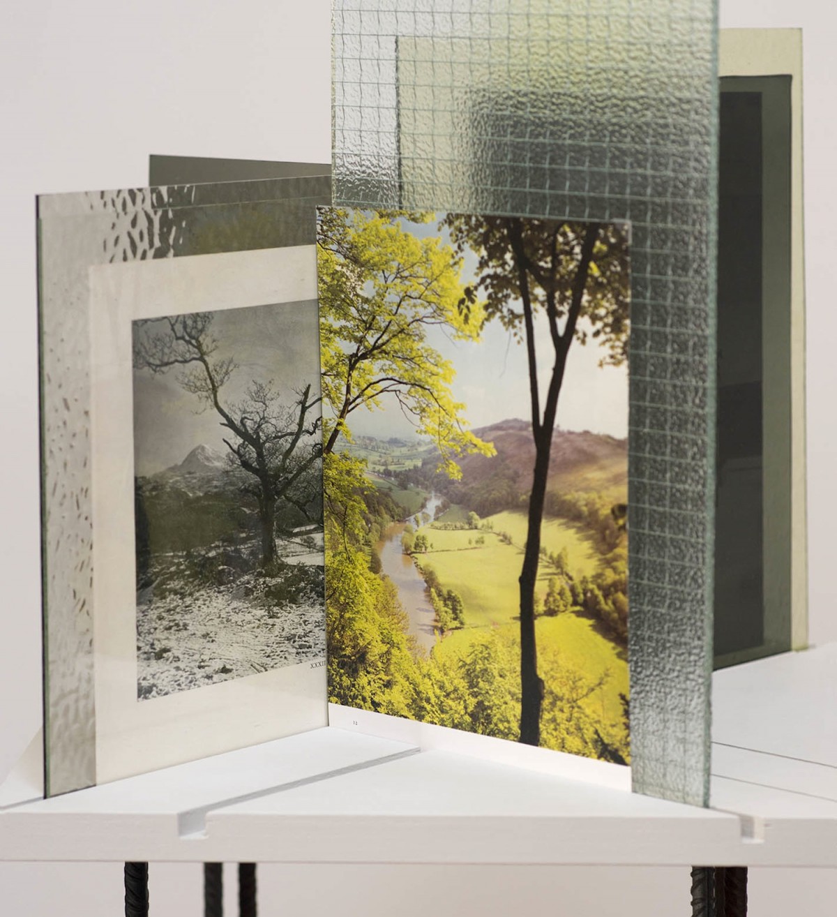 'Begin Afresh' detail. © Abigail Reynolds, 2013.