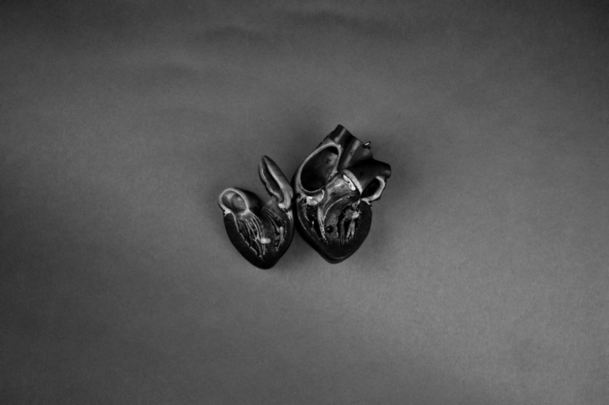 'Heart (Opened)' © Steven Kenny