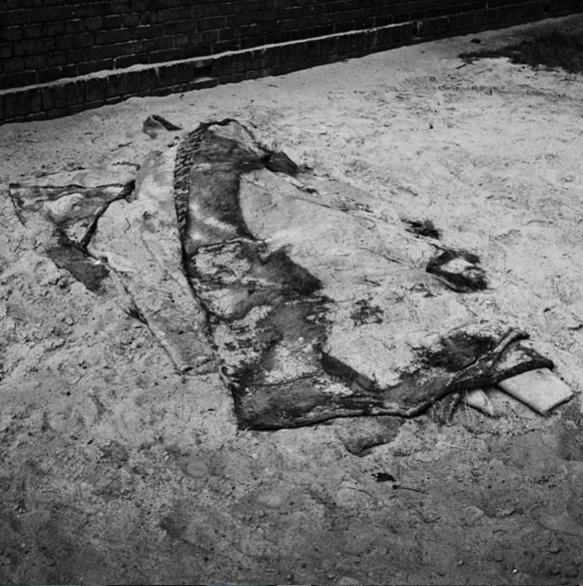 Jerwood / Photoworks Awards, 2015, Joanna Piotrowska
