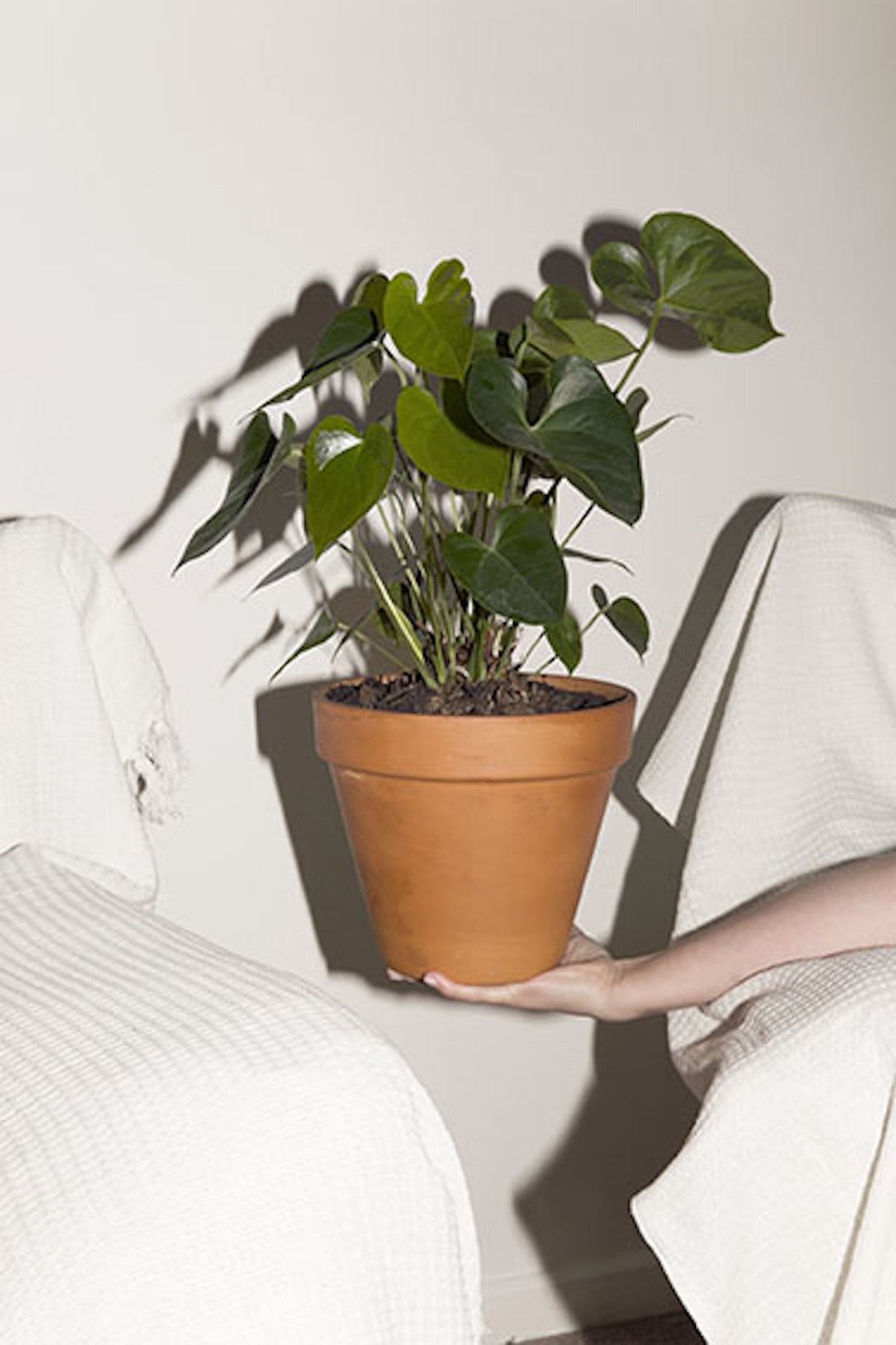 'Untitled' from the series Home Instruction Manual. © Jan McCullough, 2014-15.