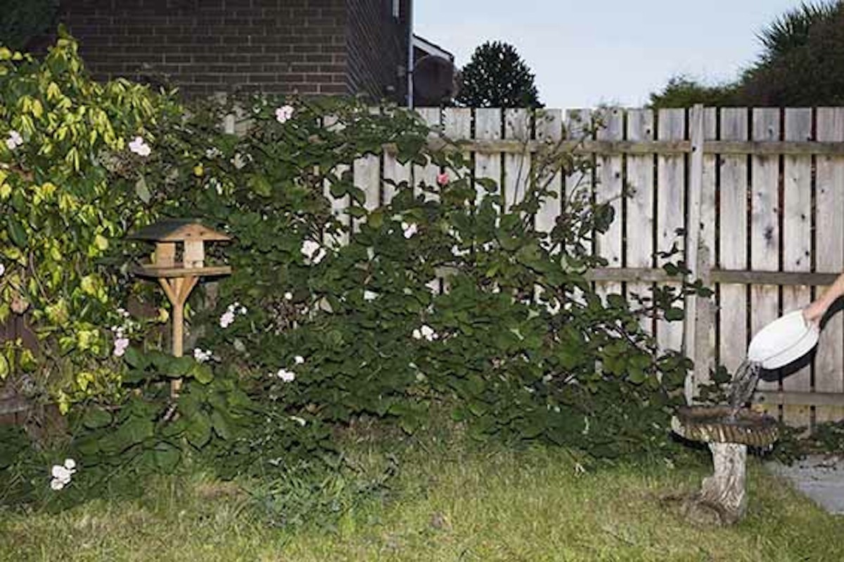 'Untitled' from the series Home Instruction Manual. © Jan McCullough, 2014-15.