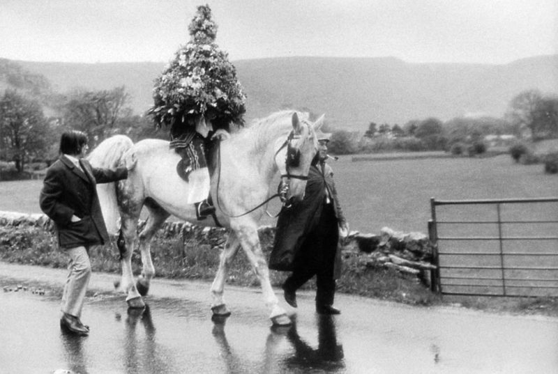 Horse, Black and white, rider, Derby