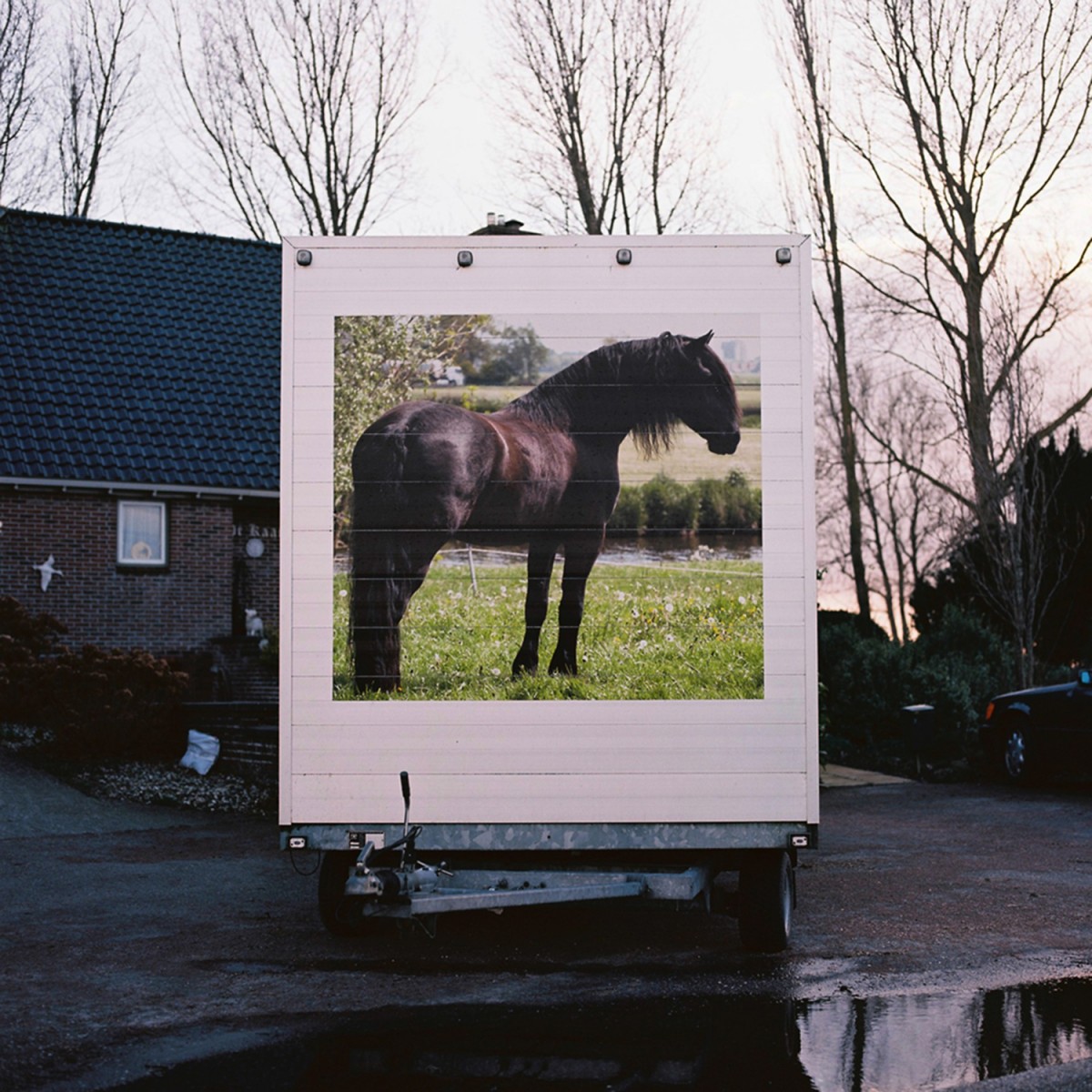 © Inge Trienekens, from the series: The Mystery of Things, 2015