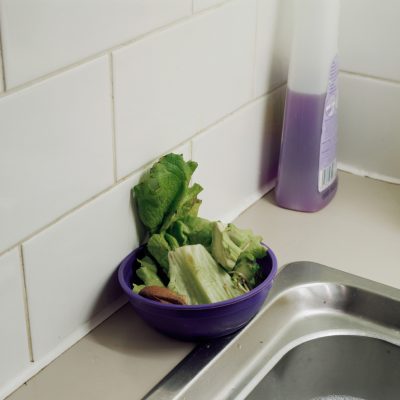 © Nigel Shafran from, 'Compost pictures', 2008-9