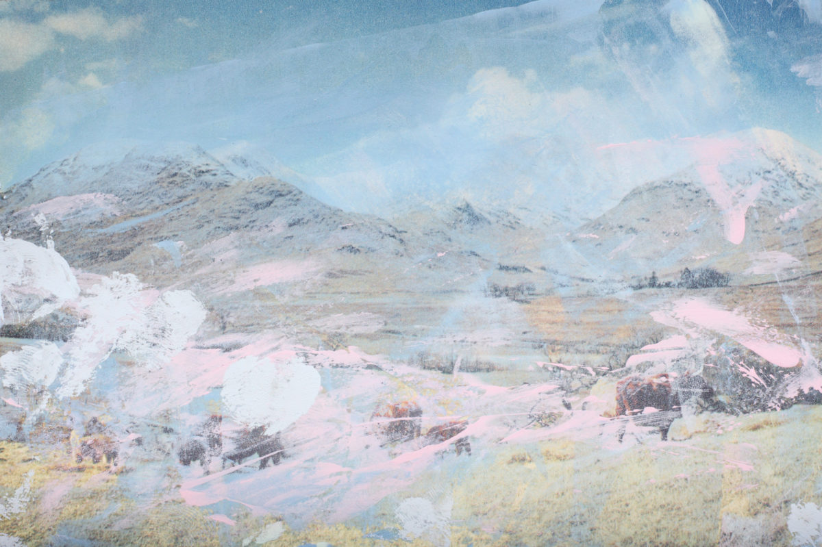 Photograph by Freddy Griffths, titled Excerpts from an ongoing photographic archive