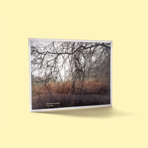 <em>26 Different Endings</em>  Mark Power