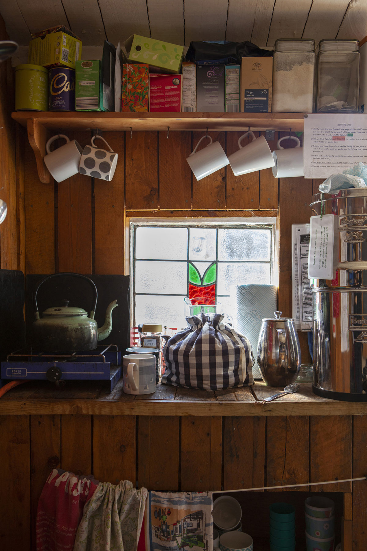 Celine Marchbank Shed Plot 2