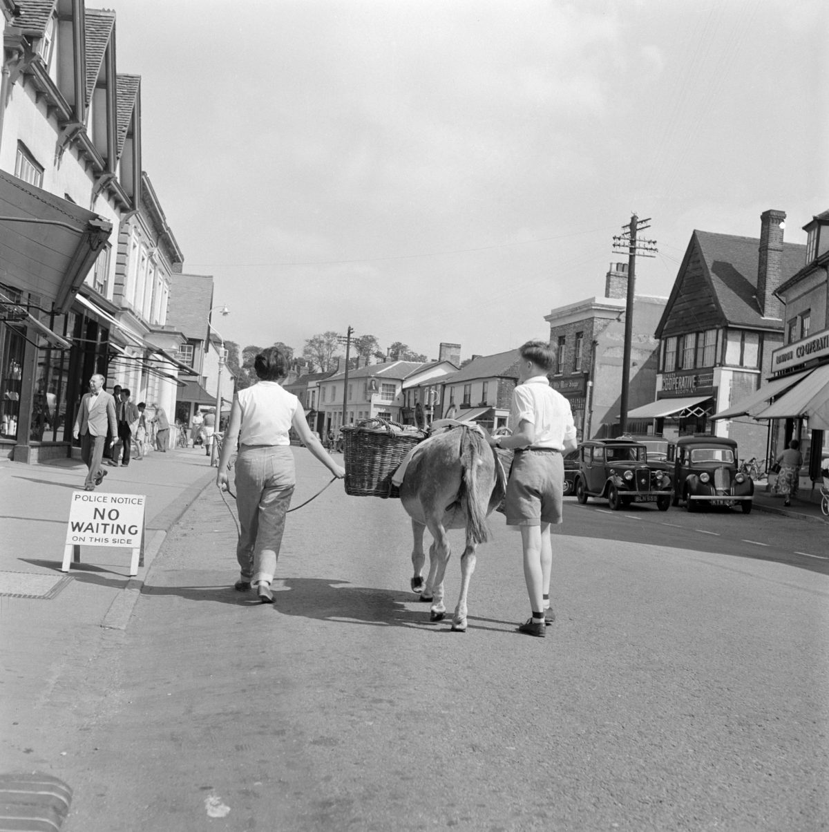 A woman and boy with a donkey carrying baskets of shopping on the High Street, Chipping Ongar, Essex in 1957.