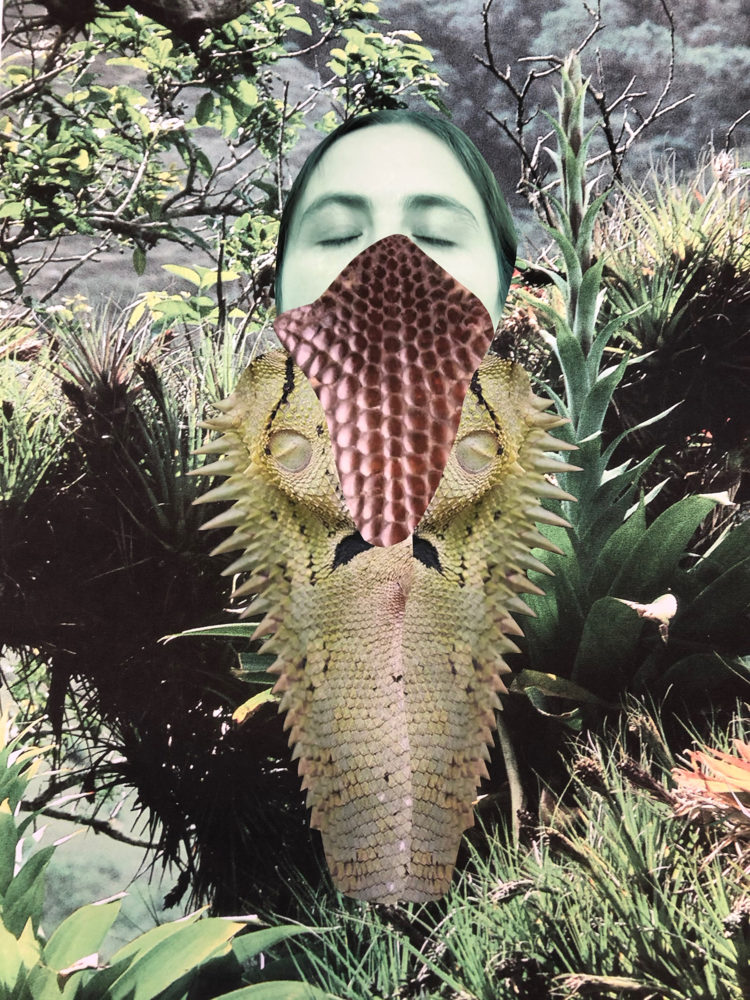 Collage image by Lucia Pizzani from the series Acorazada