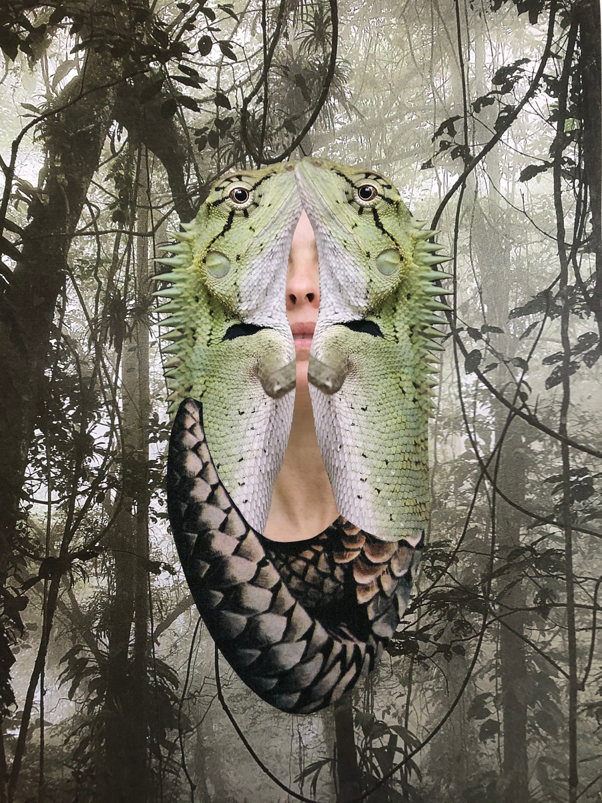 Collage image by Lucia Pizzani from the series Acorazada