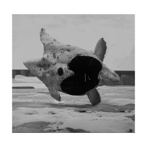 <em>Fighting Fish 3</em> by Holly Birtles,  2025