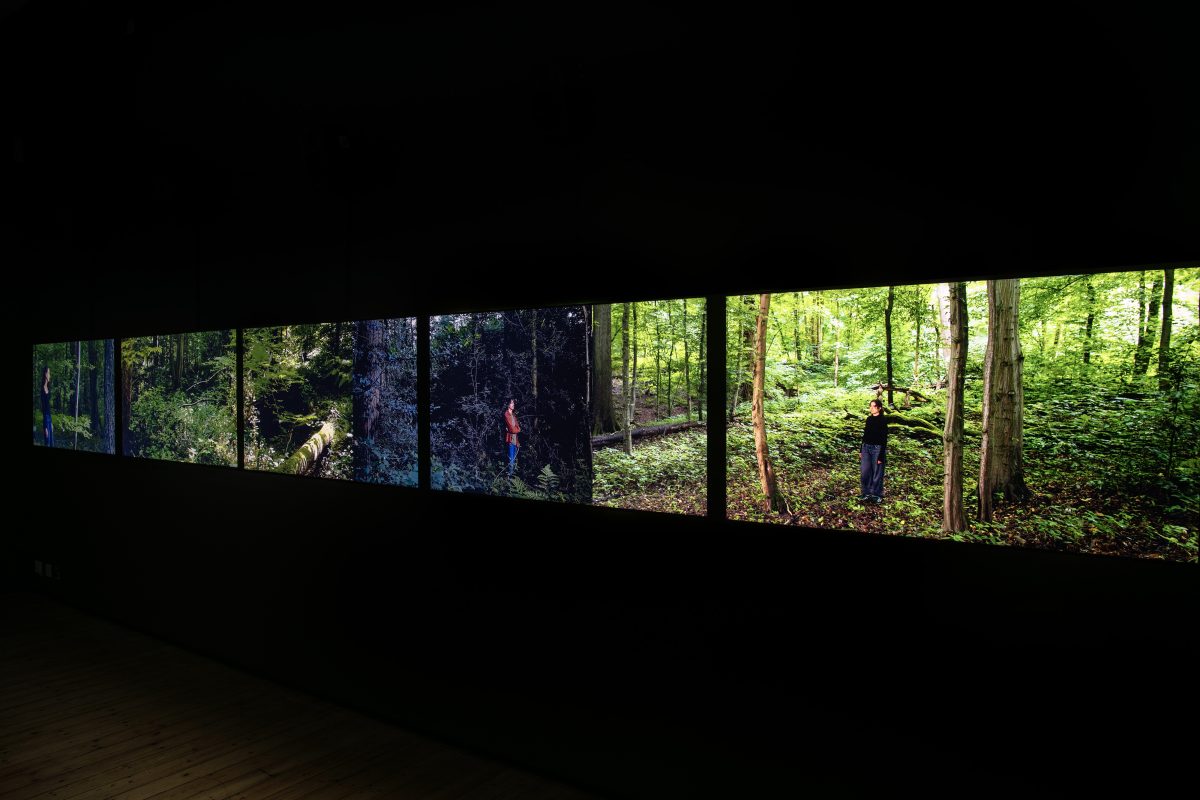 1774 NEM- Hatton Gallery ‘Some Kind of Love’ Uta Kögelsberger
